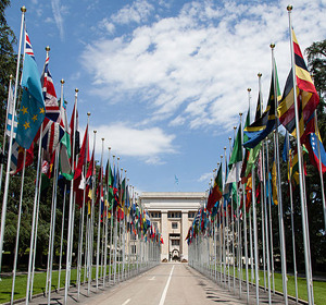 Flags of various countries line a pathway leading to a building under a blue sky.