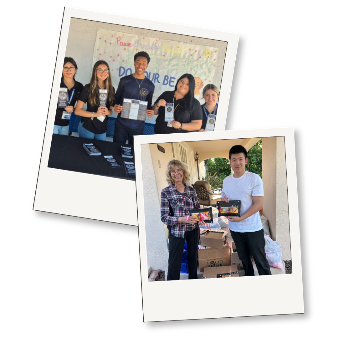 MIC Fairs Winners