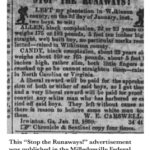 Louisiana visual data 2