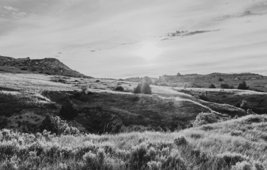 A U.S. national park landscape
