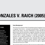 gonzales v raich quimbee